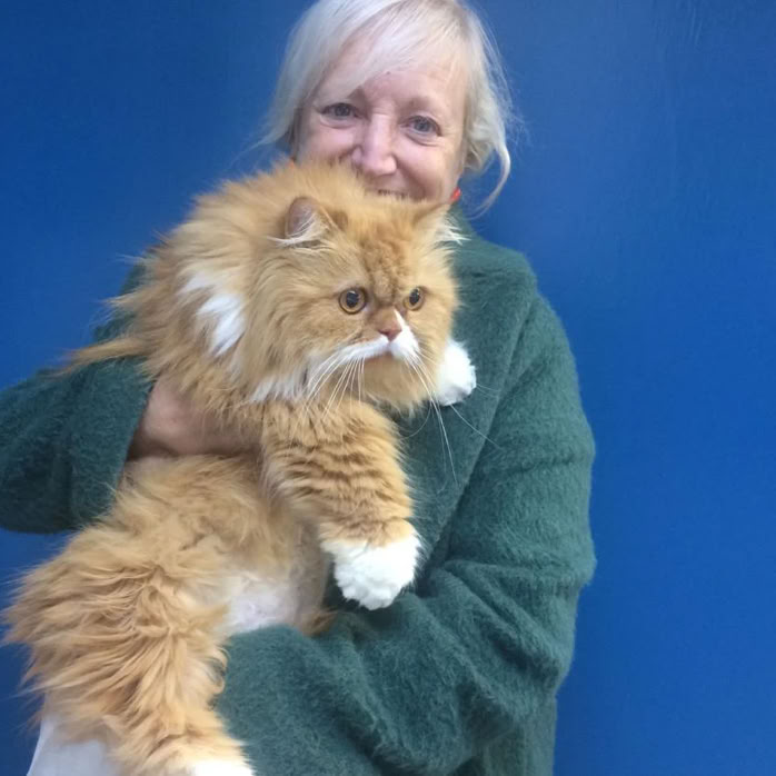 Señora con un gato persa de pelo largo beige en brazos en la clínica veterinaria El Jardín.