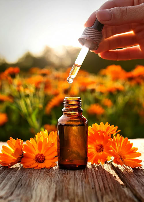 Muestra de homeopatía utilizada en un tratamiento en la clínica veterinaria El Jardín.