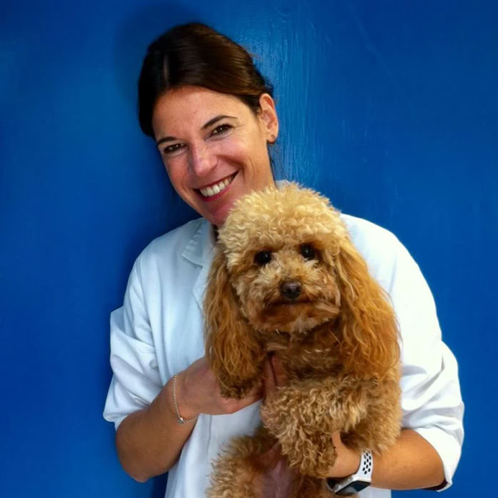 Veterinaria con un perro caniche marrón en brazos en la clínica veterinaria El Jardín.