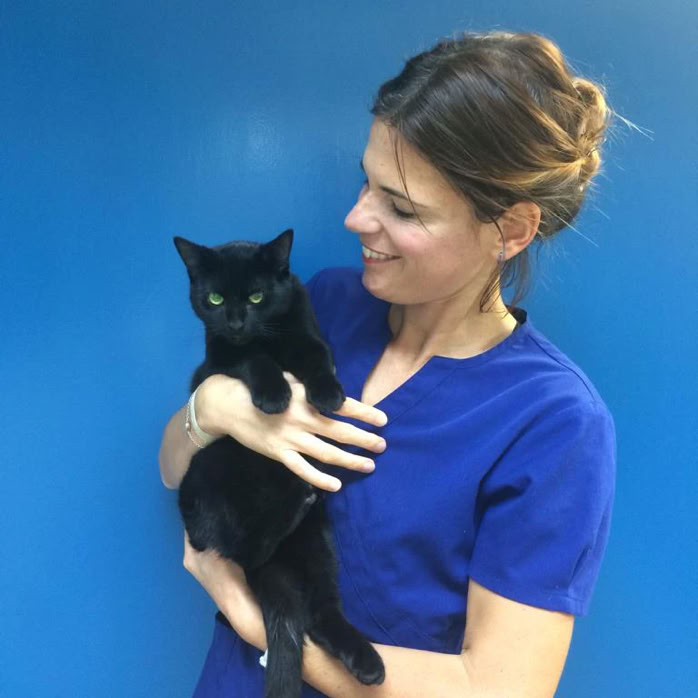 Veterinaria con un gato común europeo negro en brazos en la clínica veterinaria El Jardín.