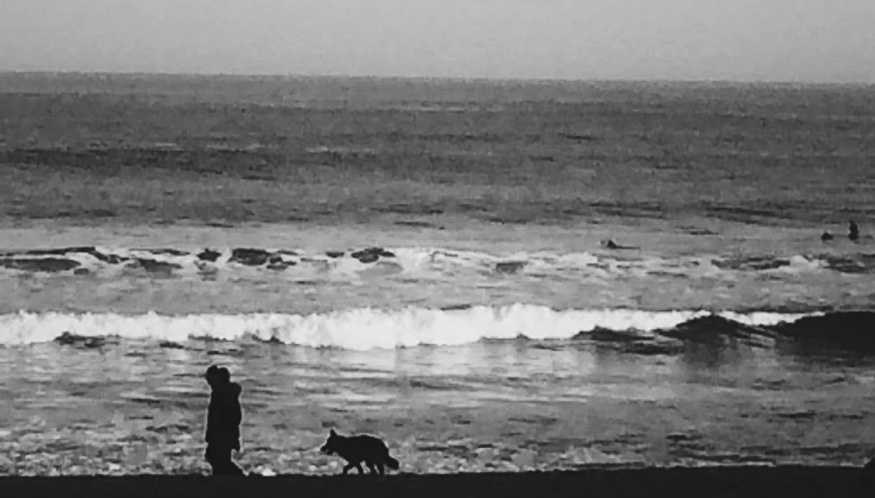 Chico con perro paseando por la playa de la Zurriola clínica veterinaria El Jardín