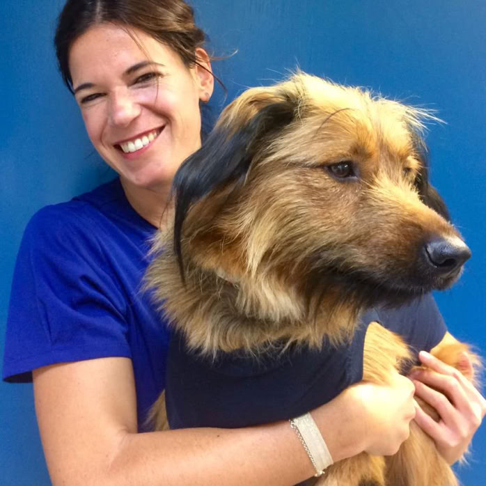 Veterinaria con un perro pastor vasco en brazos en la clínica veterinaria El Jardín.