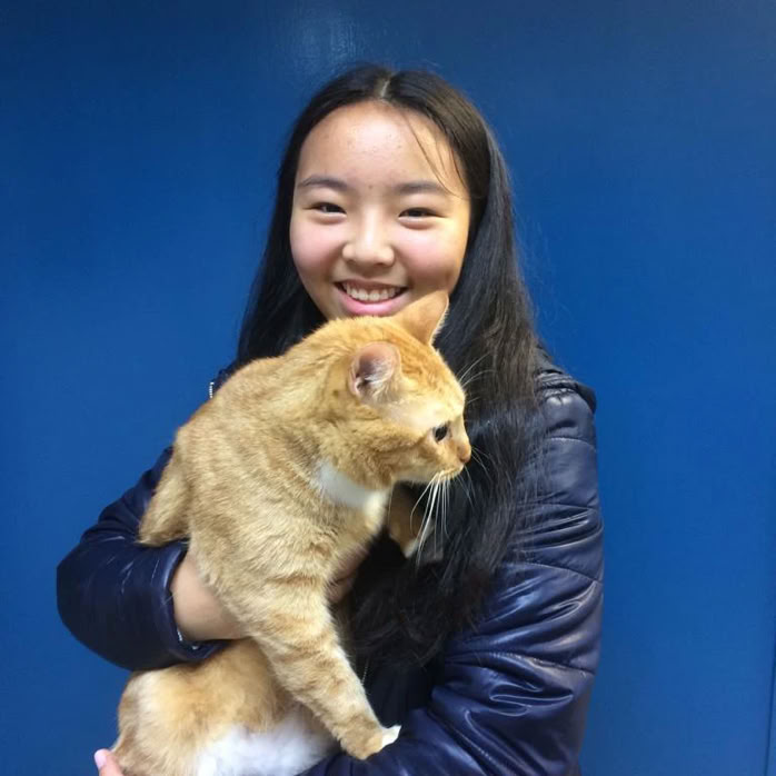 Niña con un gato común europeo marrón en brazos en la clínica veterinaria El Jardín.