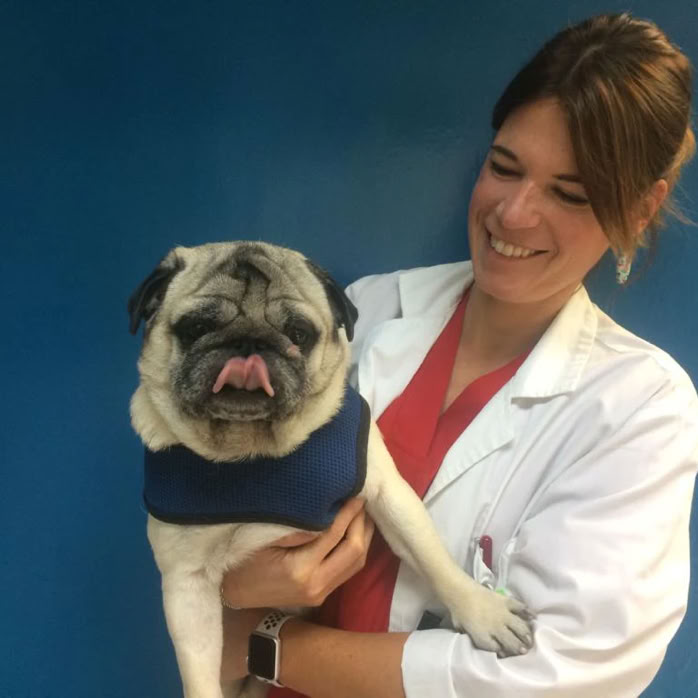 Veterinaria con un perro carlino en brazos en la clínica veterinaria El Jardín.